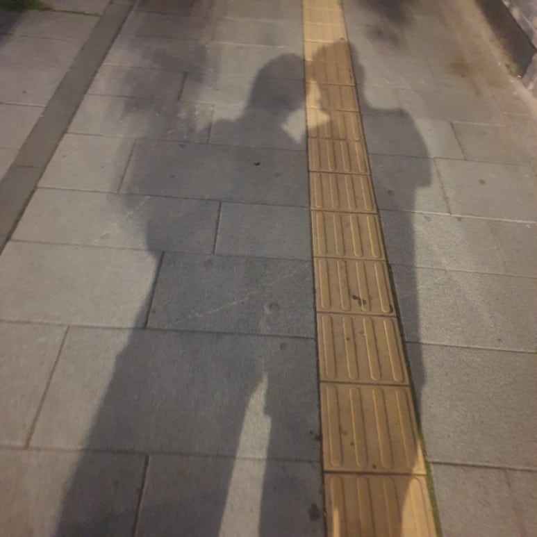 진명서점 이미지
