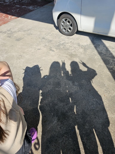낭만 보물섬 이미지
