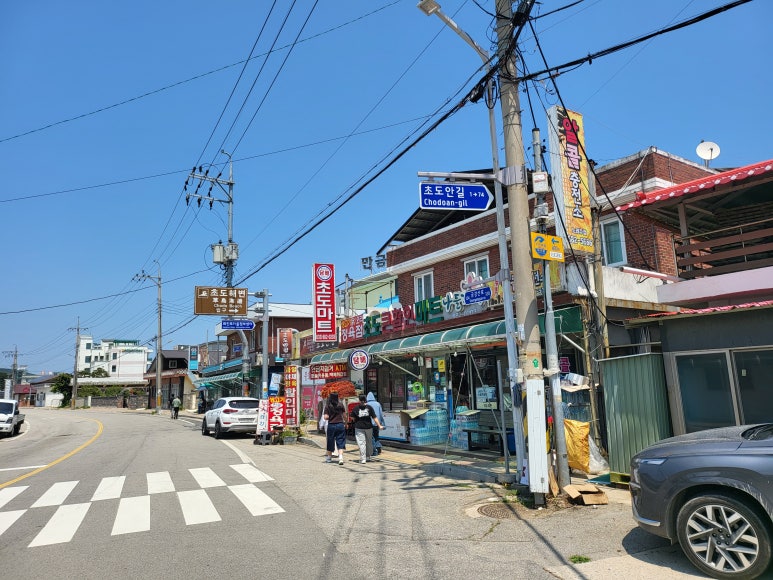 초도반점 이미지
