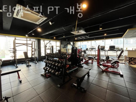 팀엑스핏 개봉 이미지