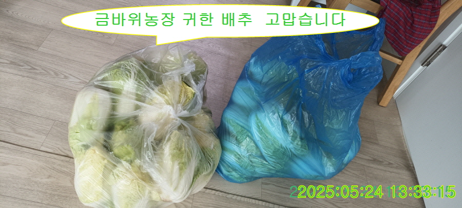 금바위농장 이미지