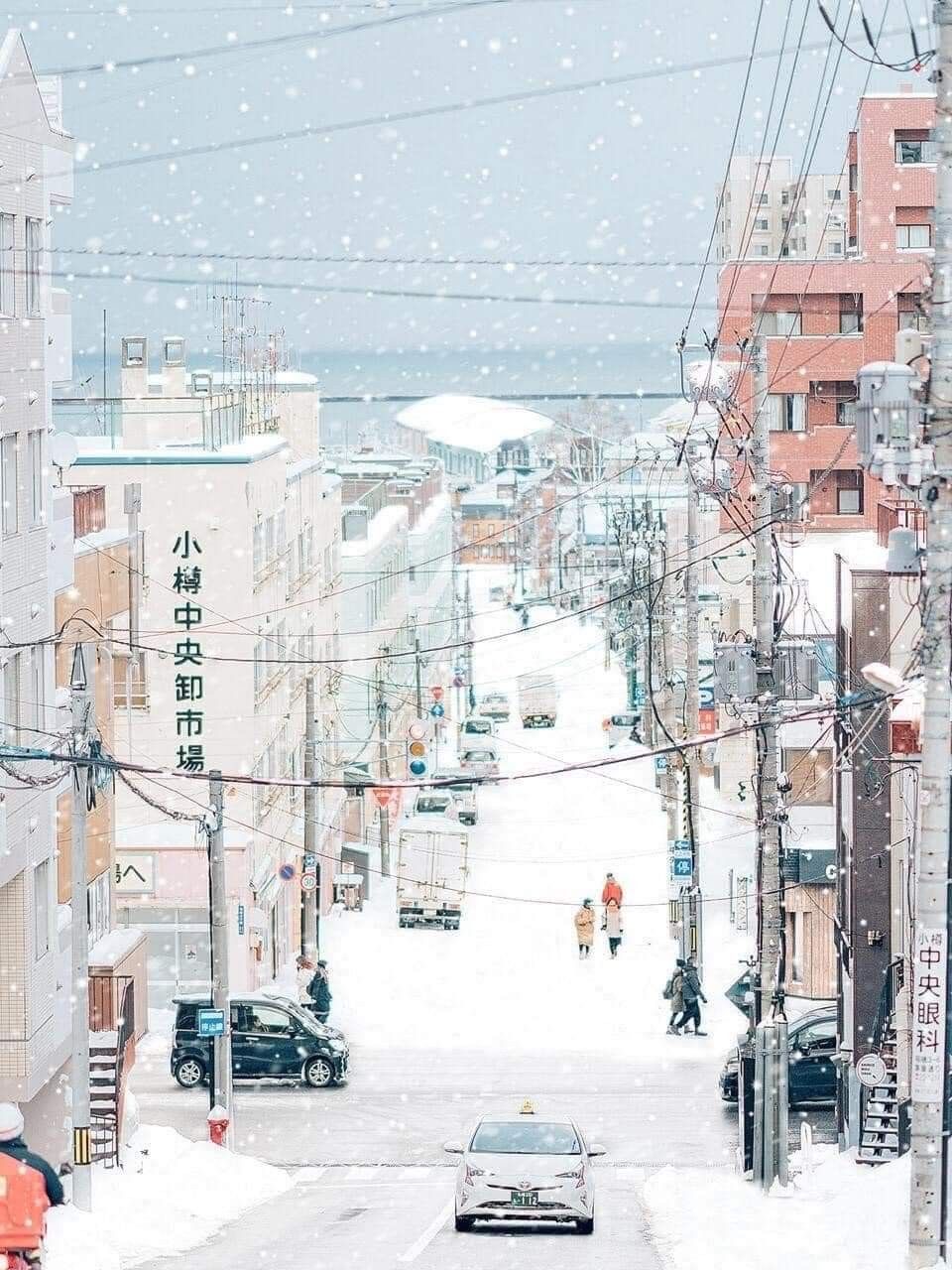 모두항공여행사 이미지