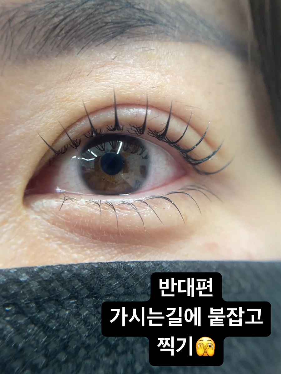 파피뷰티 이미지