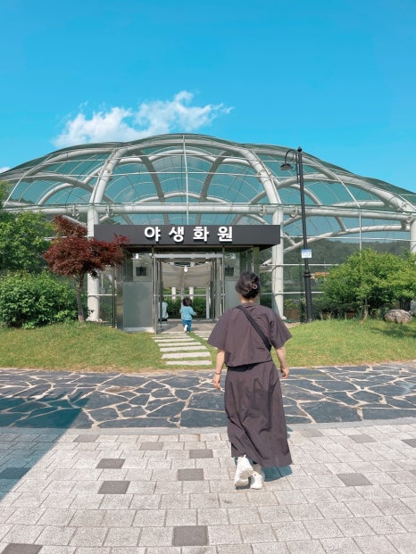 레인보우순카페 이미지