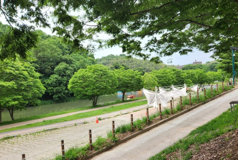 죽향풍천장어 이미지