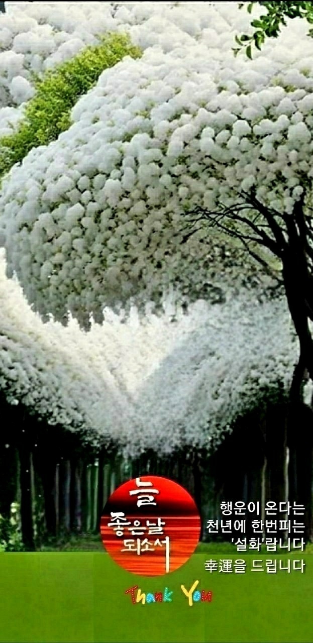 수지상사 이미지