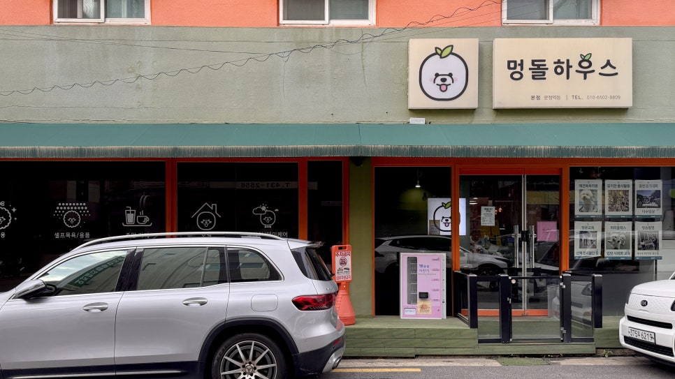 강아지 셀프 미용 원데이 클래스: 벤그루밍에서 배우는 위생 가위컷 — 사진 2