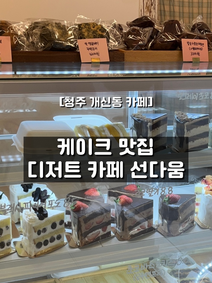선다움 이미지