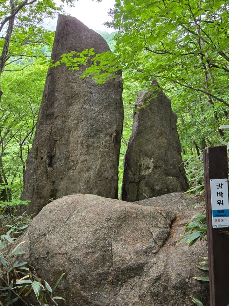 성중식당 이미지