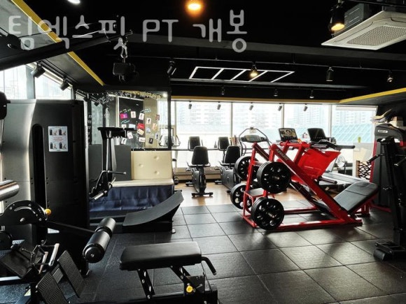 팀엑스핏 개봉 이미지