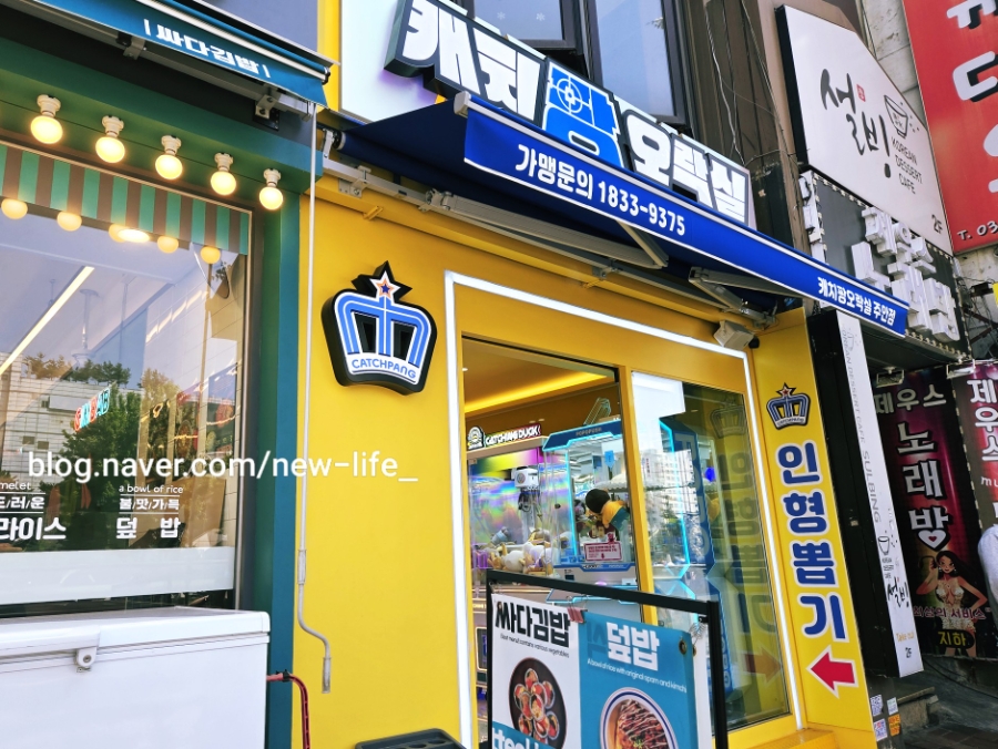 캐치팡 이미지