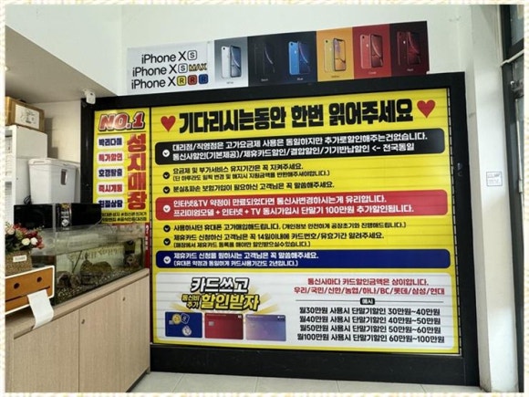 더정직한휴대폰 이미지