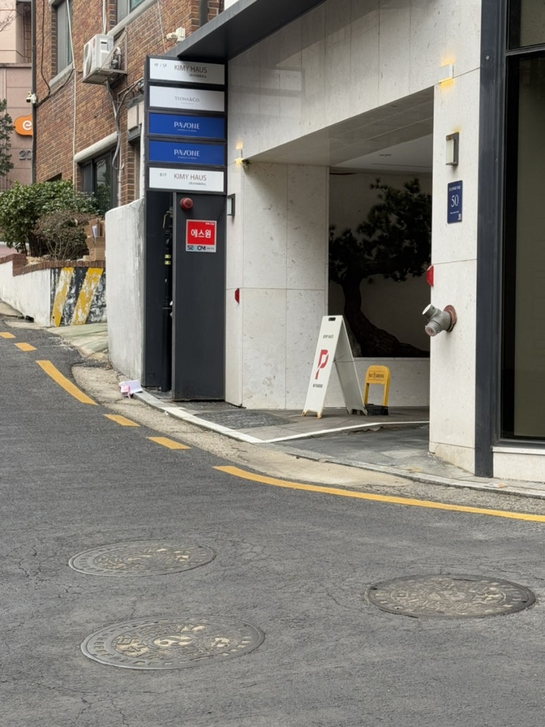파보내 이미지
