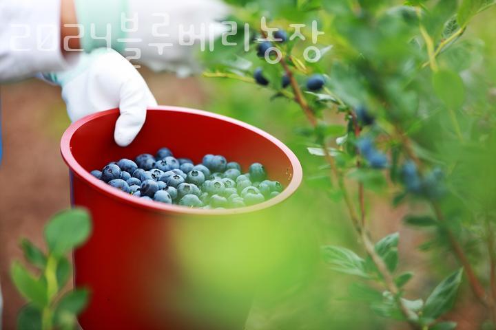 남양농장 이미지