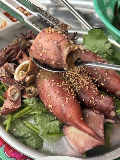 보강집 이미지