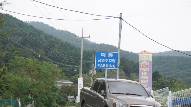 뽕반점 이미지