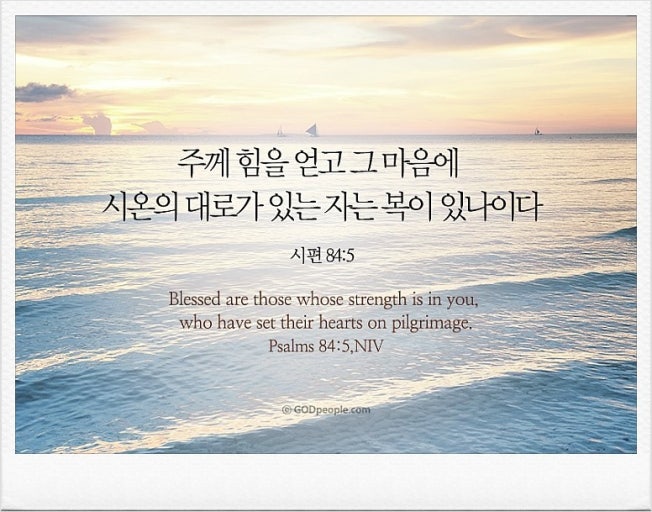 (주)시온 이미지