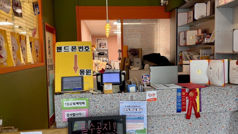 강아지 셀프 미용 원데이 클래스: 벤그루밍에서 배우는 위생 가위컷 — 사진 3