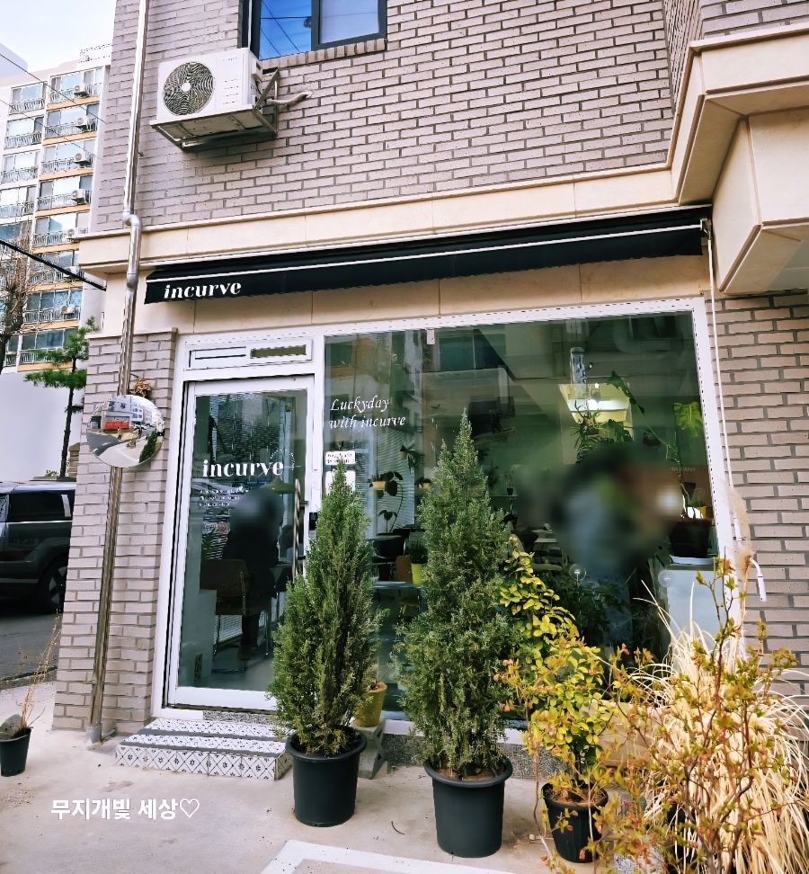 인커브 이미지