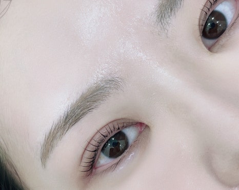 르네41 이미지