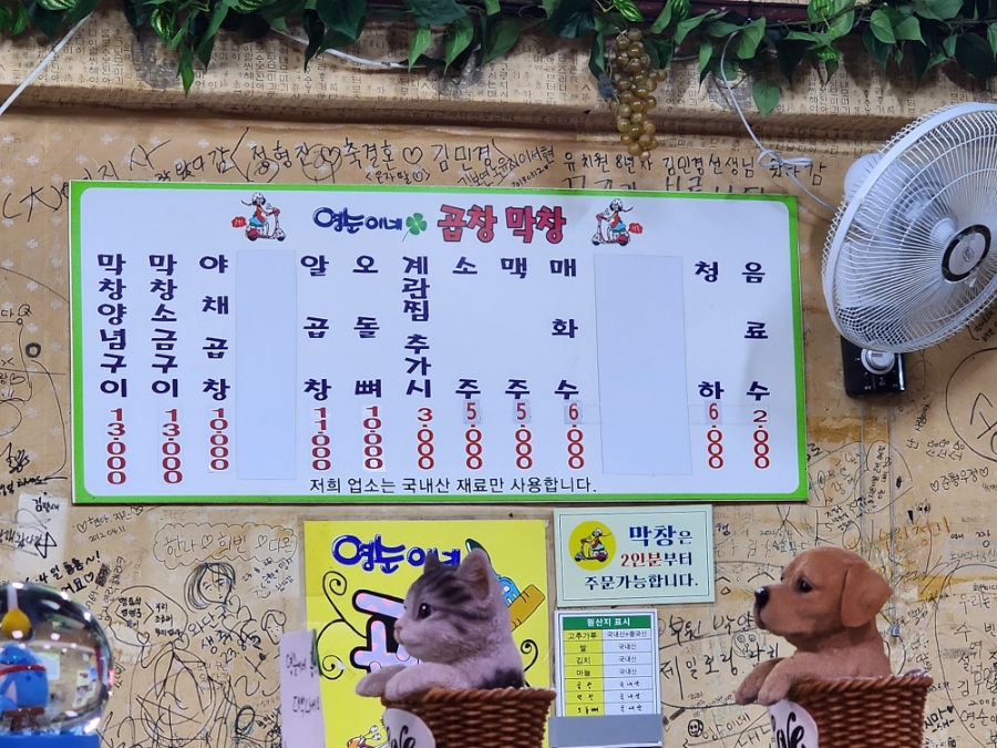영순이네 이미지