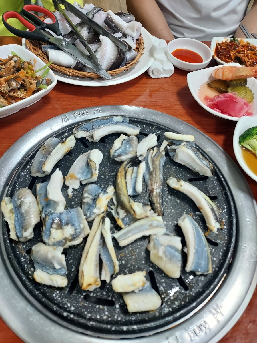꼼지락장어 이미지