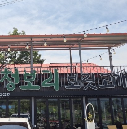 청보리보릿고개 이미지