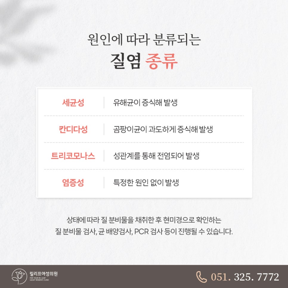 릴리프여성의원 이미지