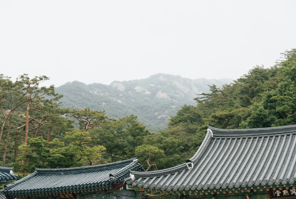품마을행정사합동사무소 이미지