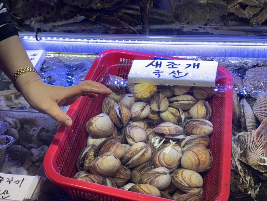 태양수산활어회 이미지