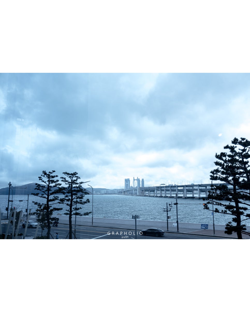 도희플라워 이미지