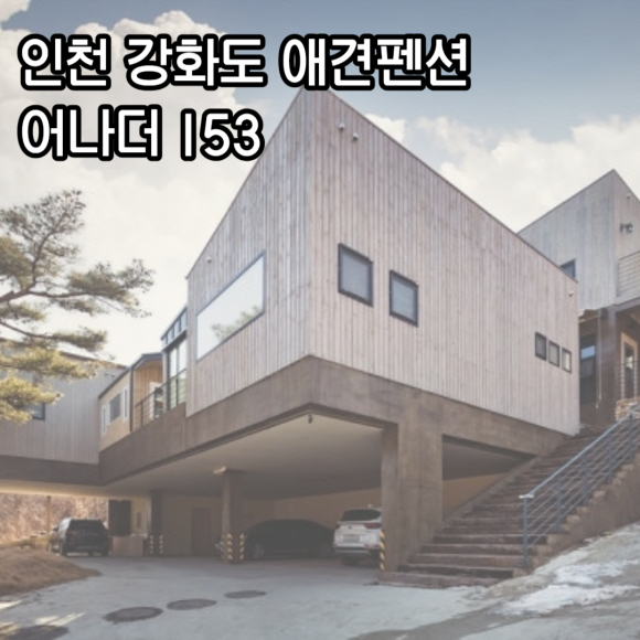 어나더153애견펜션 이미지