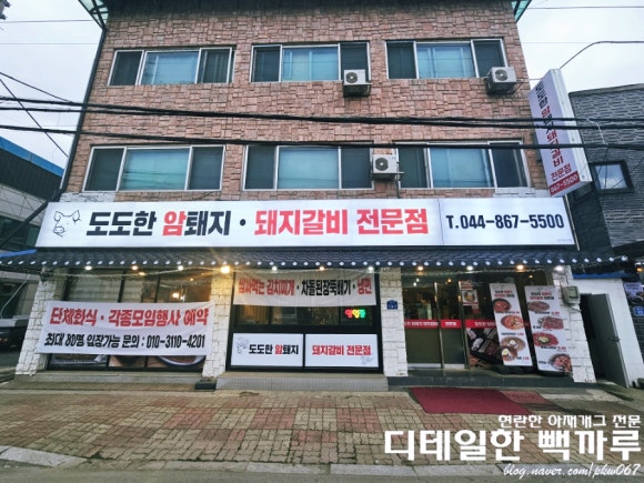 도도한암퇘지 이미지