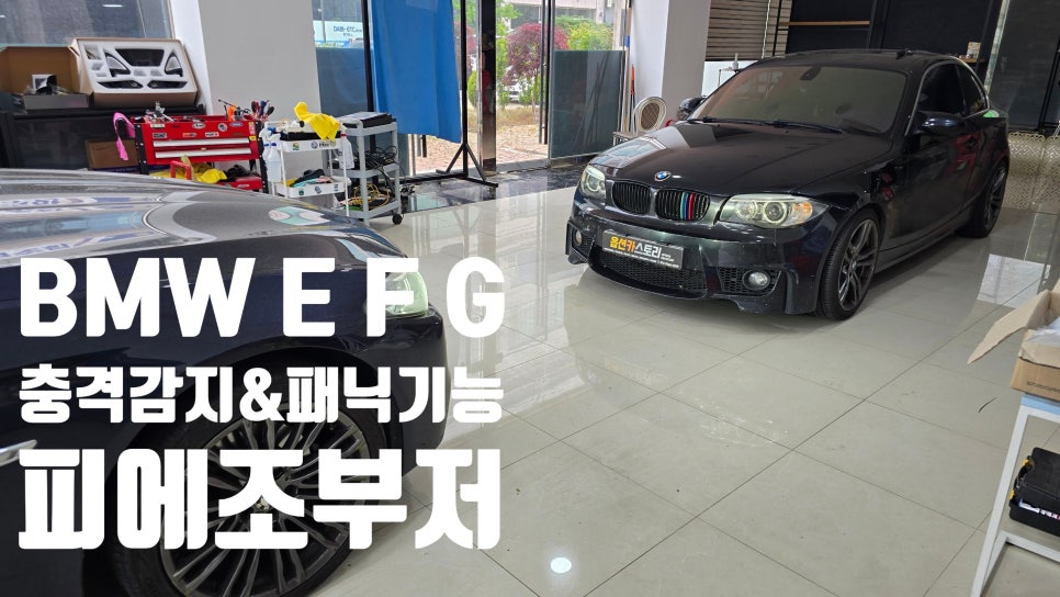옵션카스토리 이미지