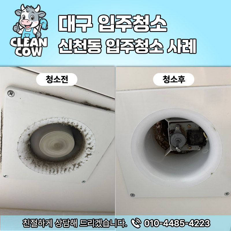 클린카우 이미지