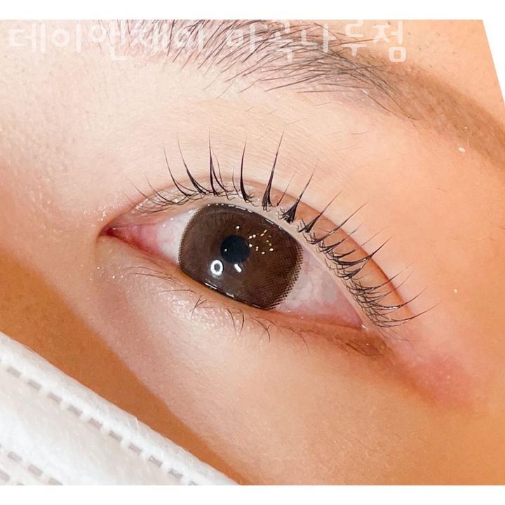 데이앤제이 이미지
