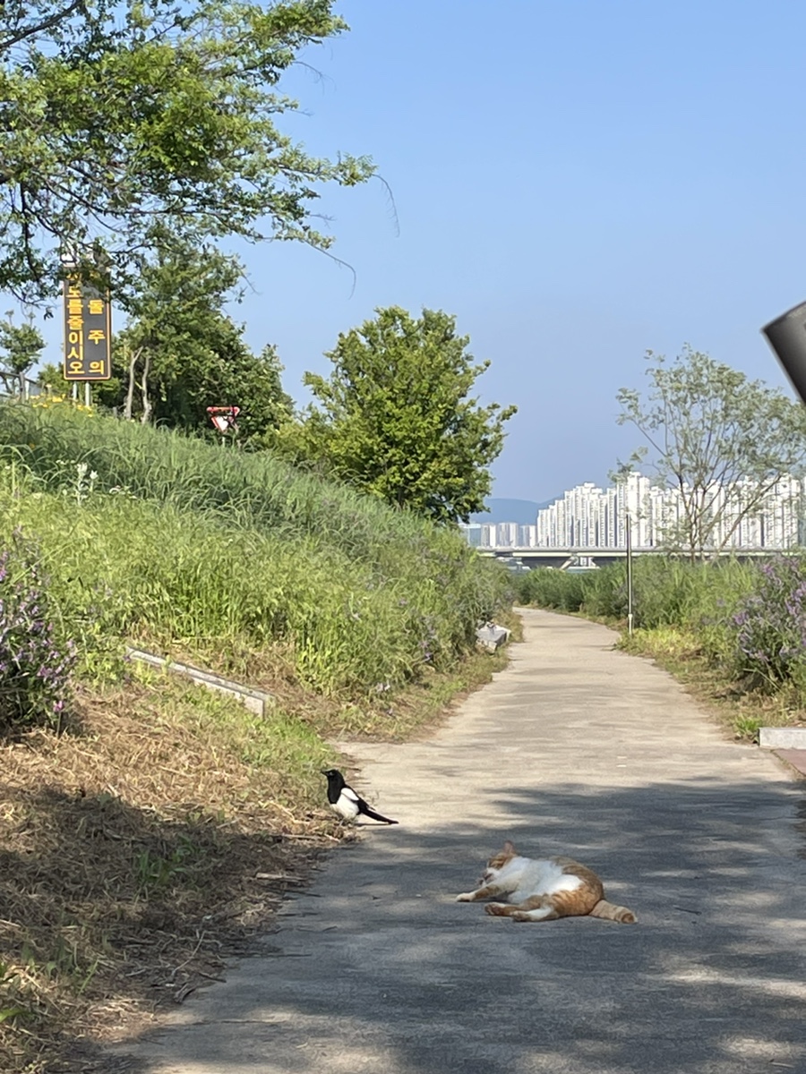 비에이치씨자양3동점 이미지
