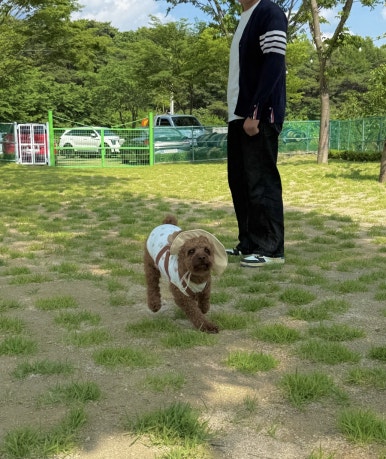명산한우식육식당 이미지