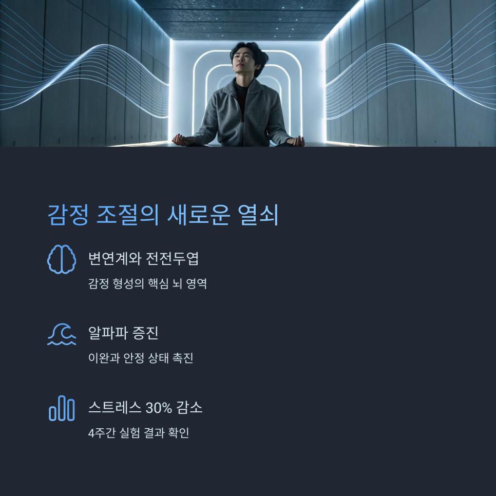 피드백기술 이미지