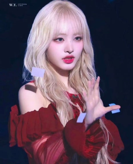 데이앤헤어 이미지