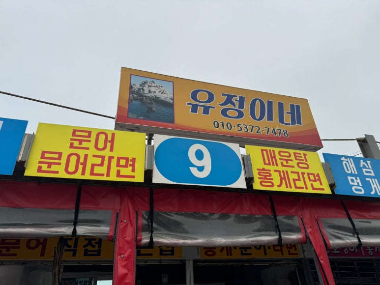 유정이네 이미지