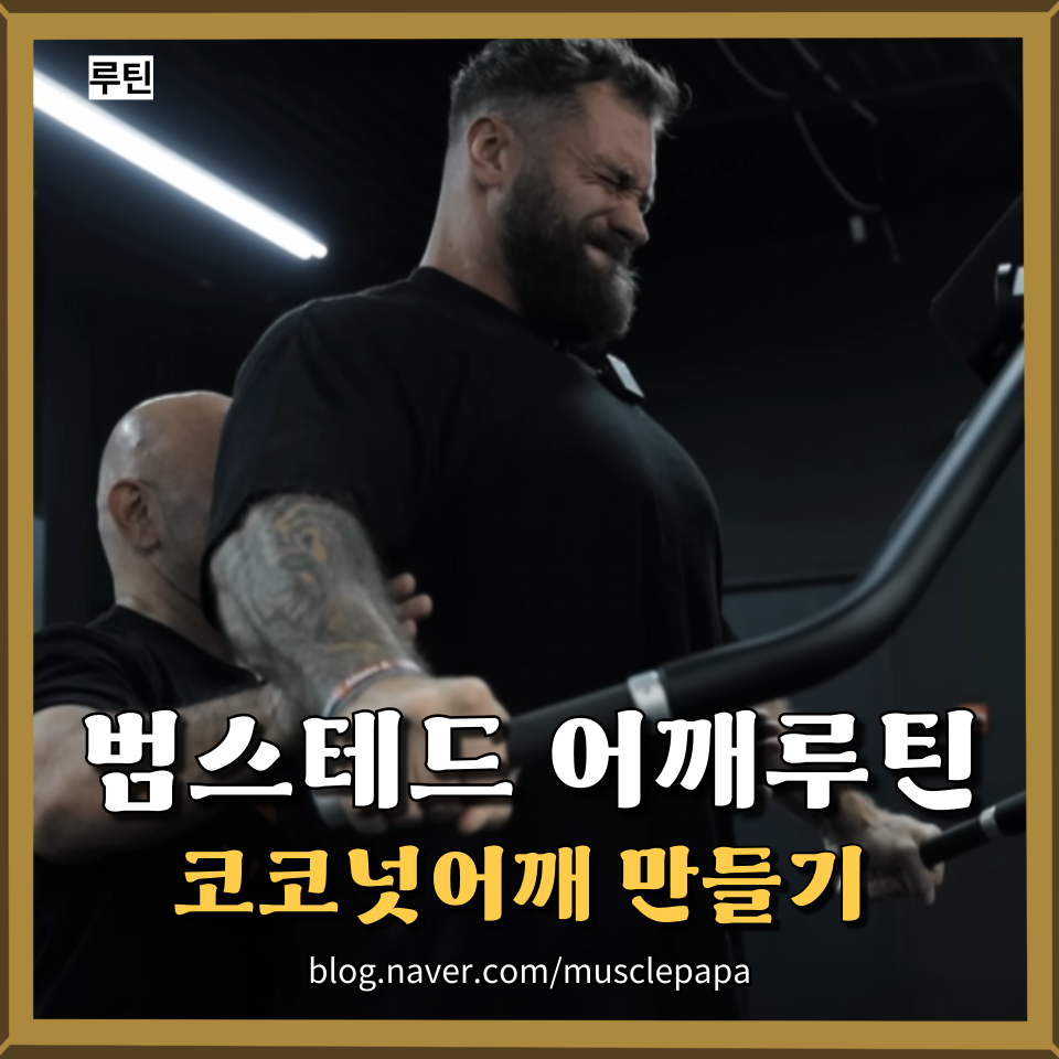 파파크리스 이미지