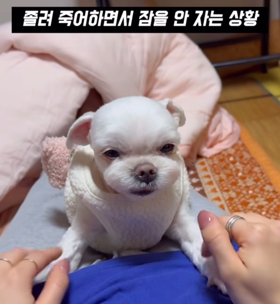버건디 이미지