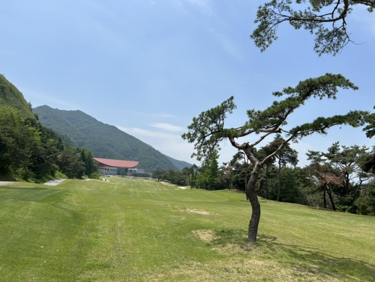 (주)초록빛 이미지