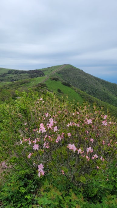 소백산국립공원 삼가탐방지원센터 이미지