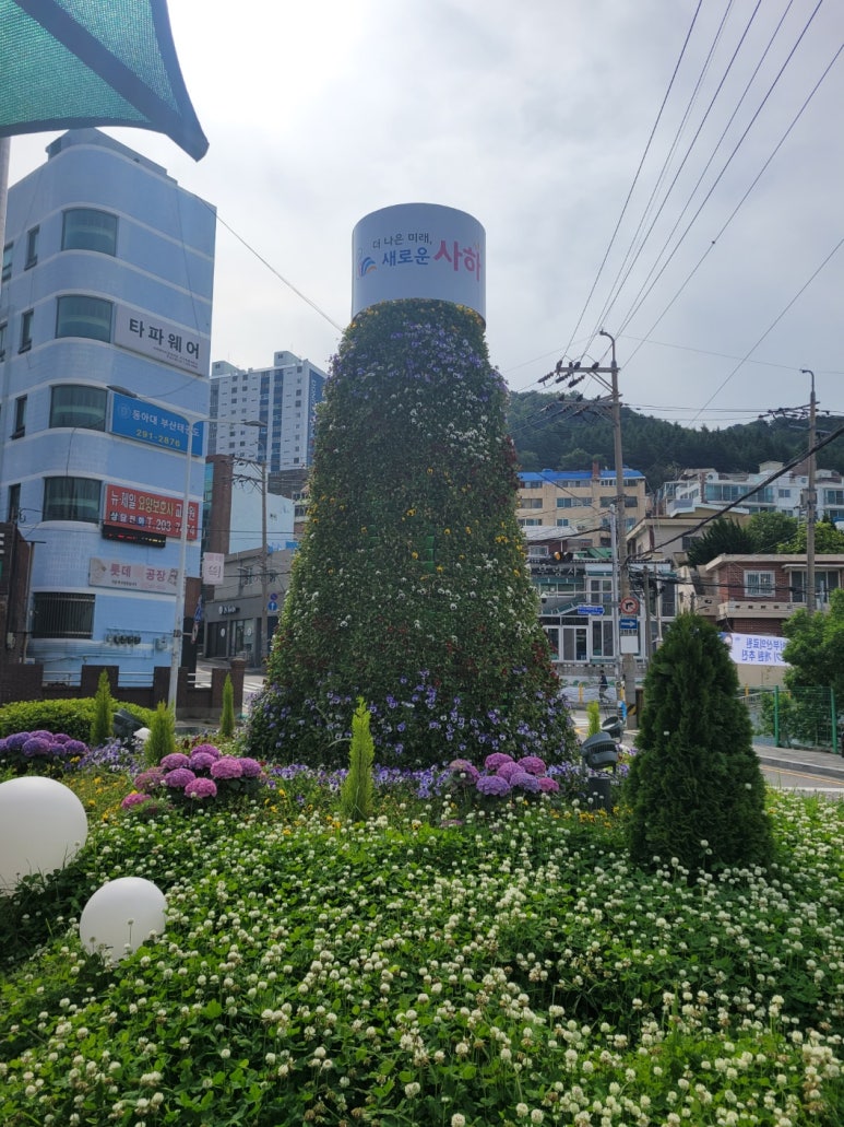 괴정2동 : 네이버 블로그