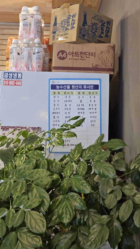 스시카양 이미지