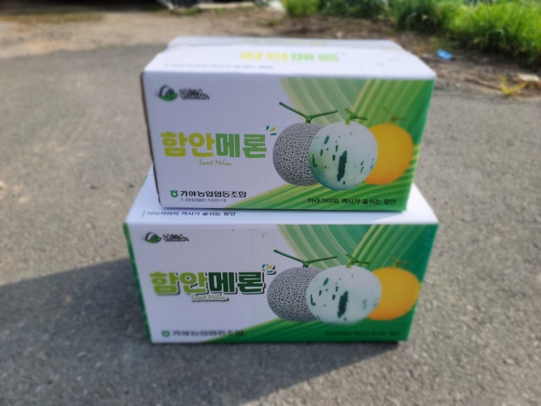 주식회사 홍반장 이미지