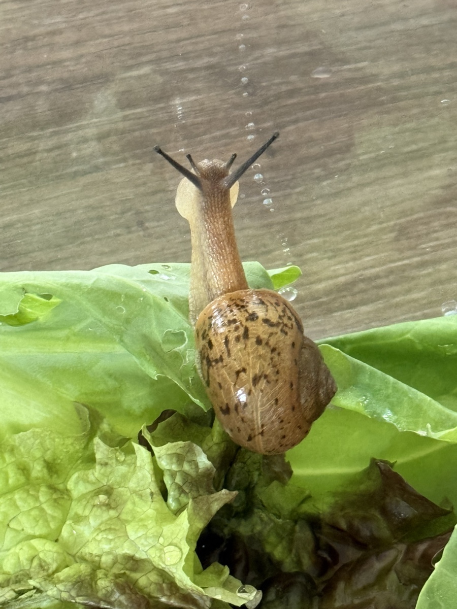 단미재 이미지