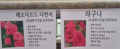 더 이루투어 이미지